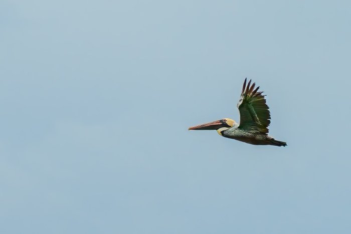 AR504507-Edit.jpg