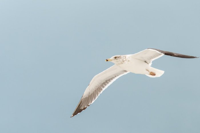 AR504567-Edit.jpg