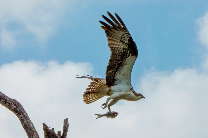 AR505656-Edit.jpg