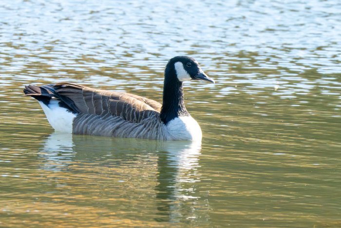 AR505926.jpg
