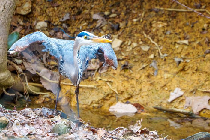 AR507879-.jpg