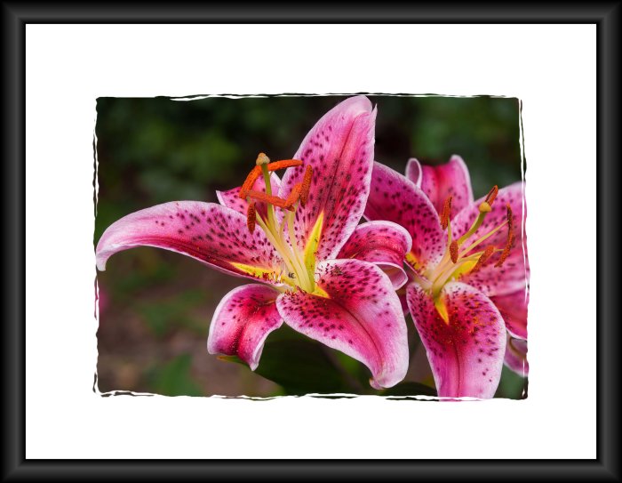 AR501698-Edit-2frame.jpg