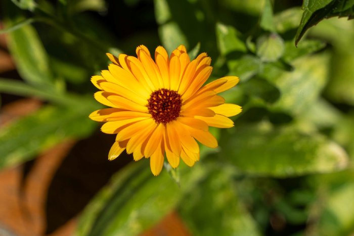 AR502218.jpg