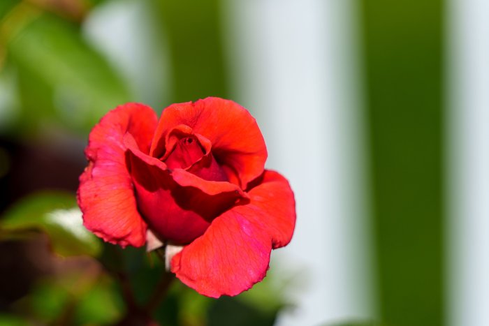 AR502982-t.jpg