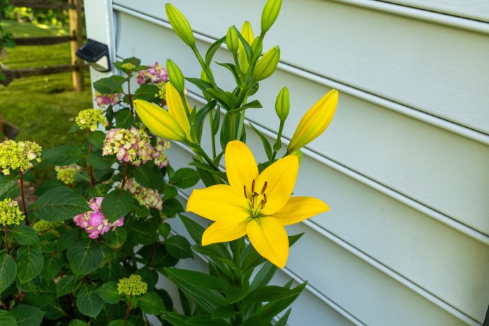 AR503071.jpg