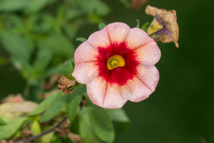 AR503227.jpg