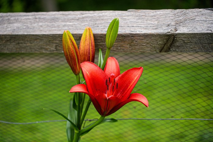 AR503291.jpg