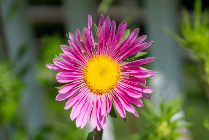 AR506125.jpg