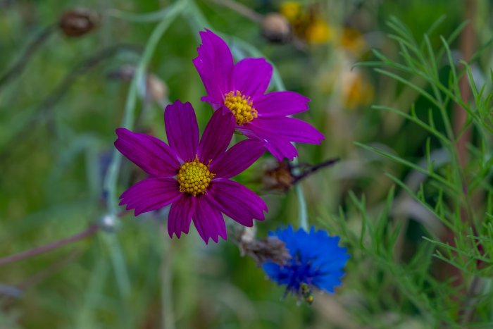 AR506149.jpg