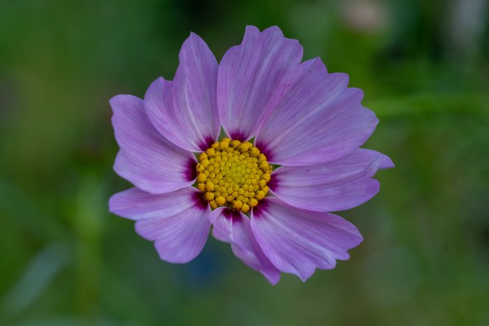 AR506150.jpg