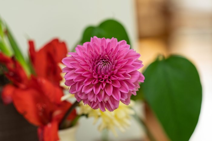 AR506427.jpg