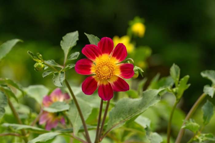 AR506434.jpg