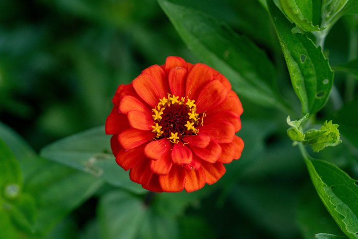 AR506573.jpg