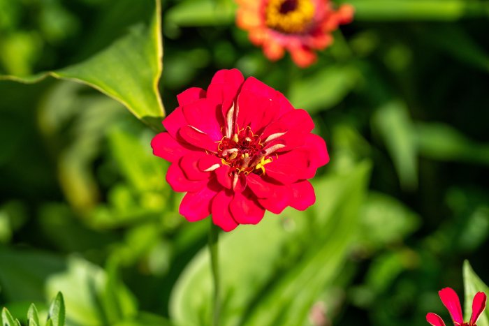 AR506581.jpg
