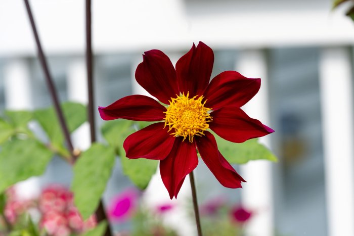 AR506715.jpg