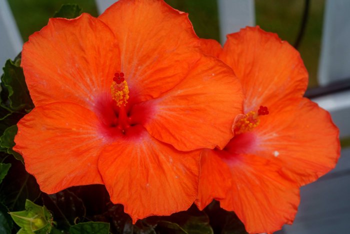 AR507972.jpg