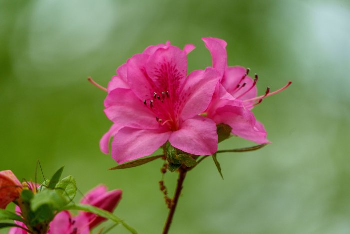 AR508876.jpg