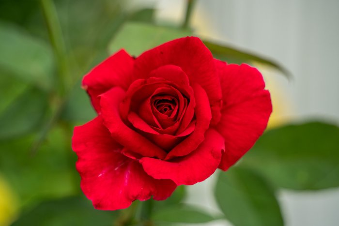 DSC05068-HDR.jpg