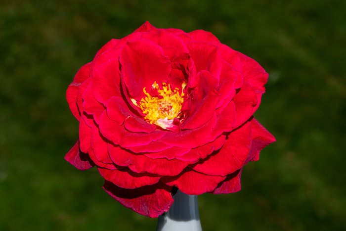 DSC05073.jpg