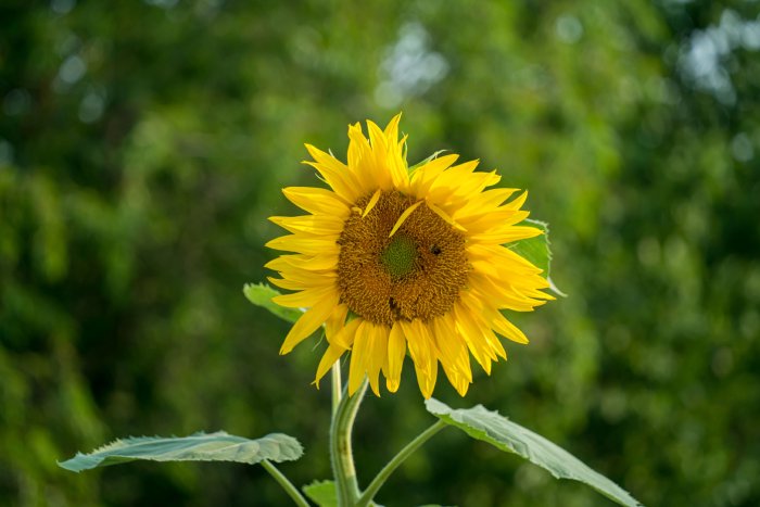 DSC05572.jpg