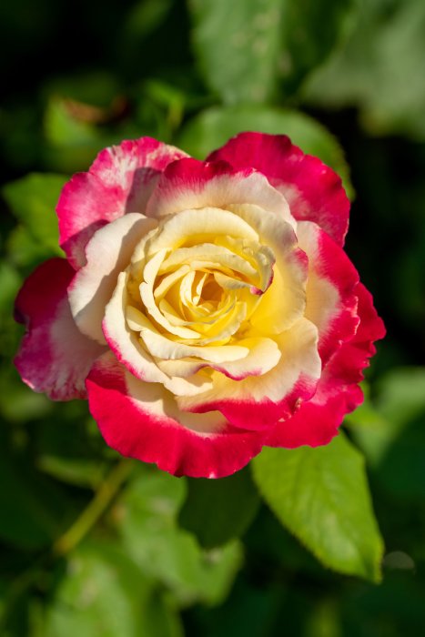 DSC07014-HDR.jpg
