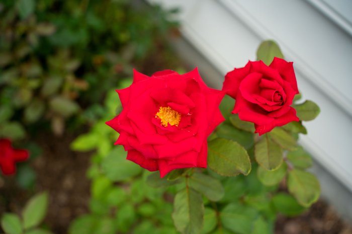 DSC07119.jpg