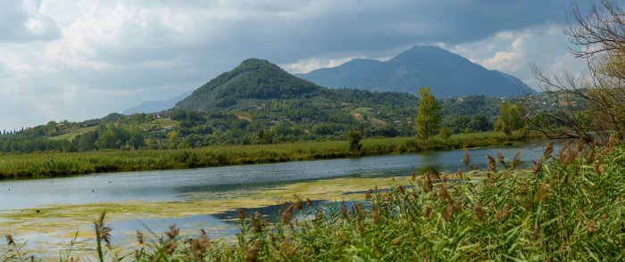 AR504839-Pano.jpg