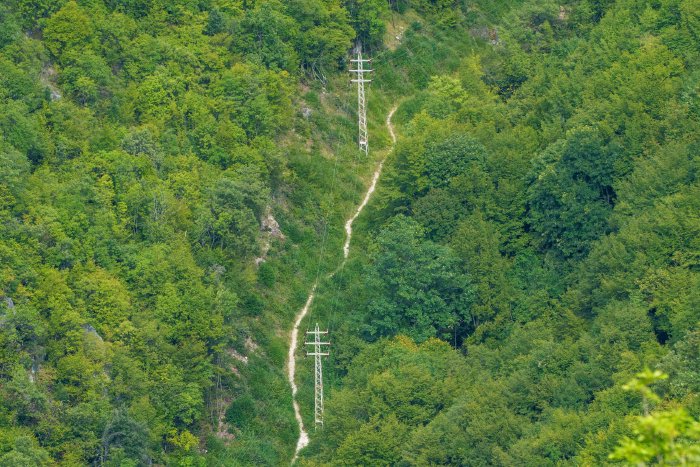 AR504978.jpg