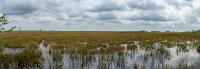 AR505351-Pano.jpg