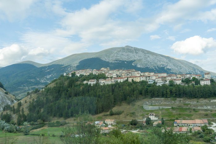 AR505729.jpg