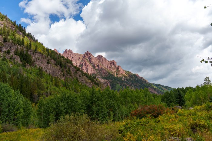 AR505781.jpg