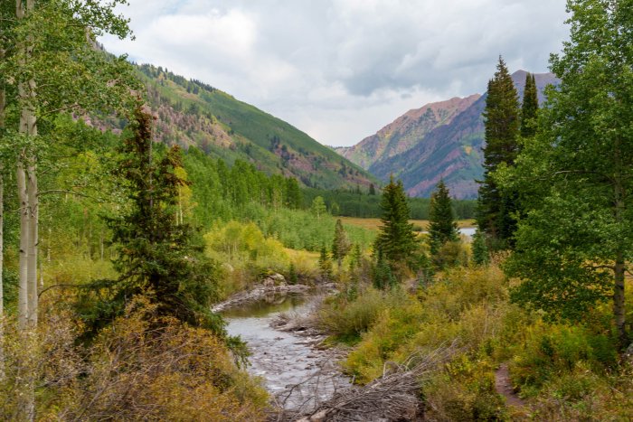 AR505875.jpg