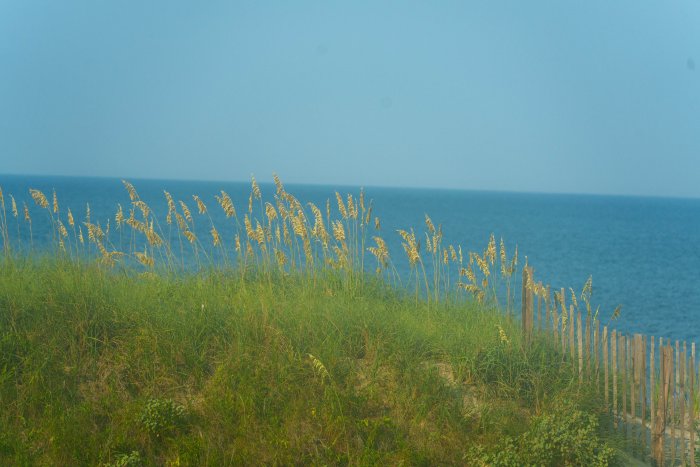 AR507691.jpg