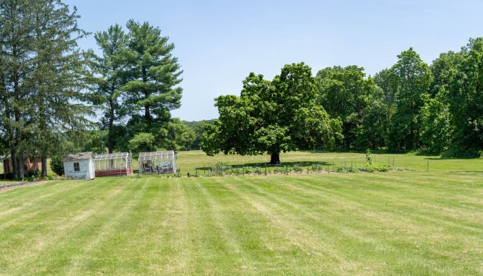 AR507951-Pano.jpg