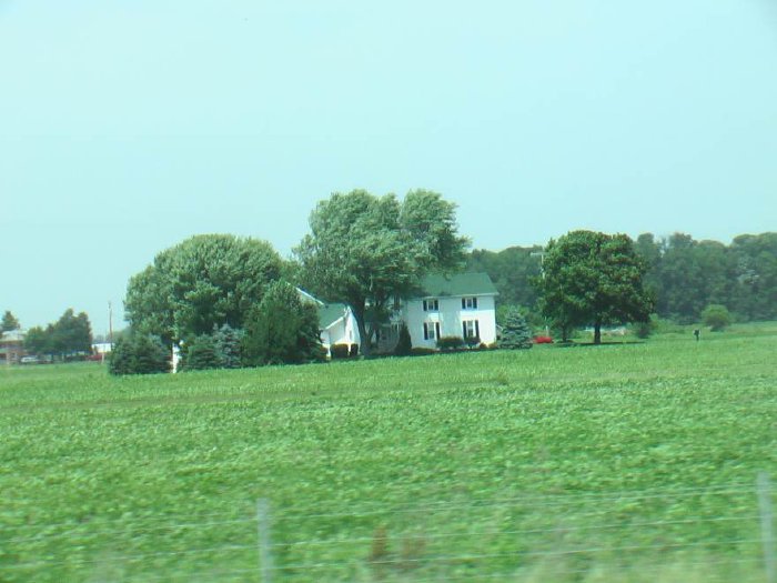 IMGA4645.jpg