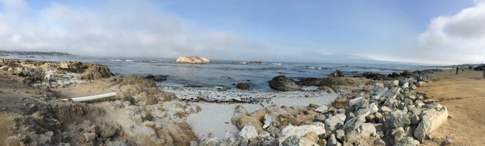 IMG_0648.jpg