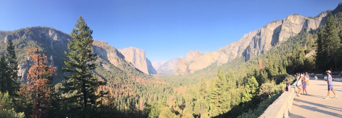 IMG_0879.jpg