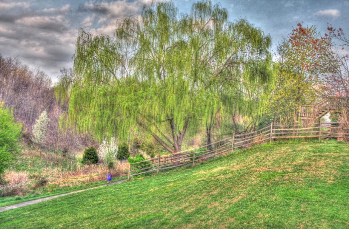 IMG_8778_79_80_tonemapped.jpg