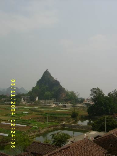 S3600477.jpg