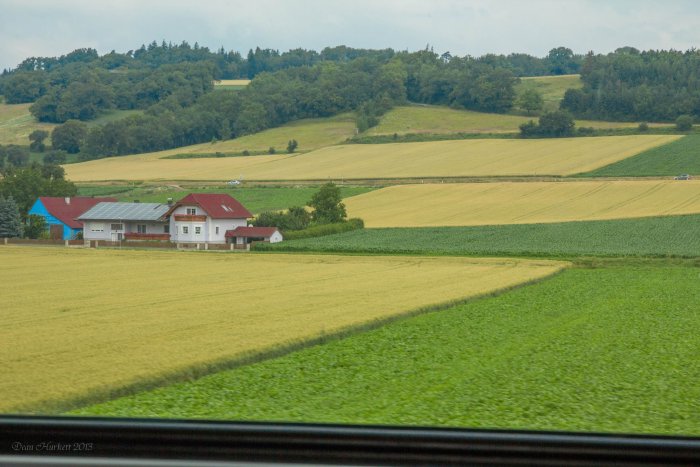 _MG_2794.jpg