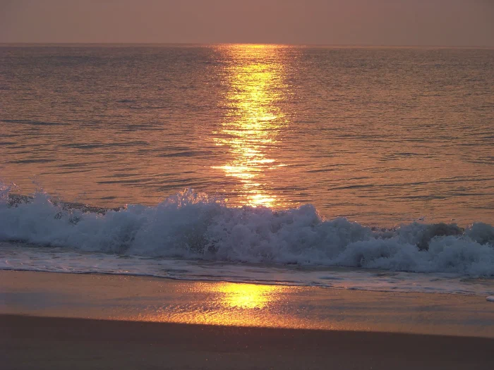 100_1211.webp