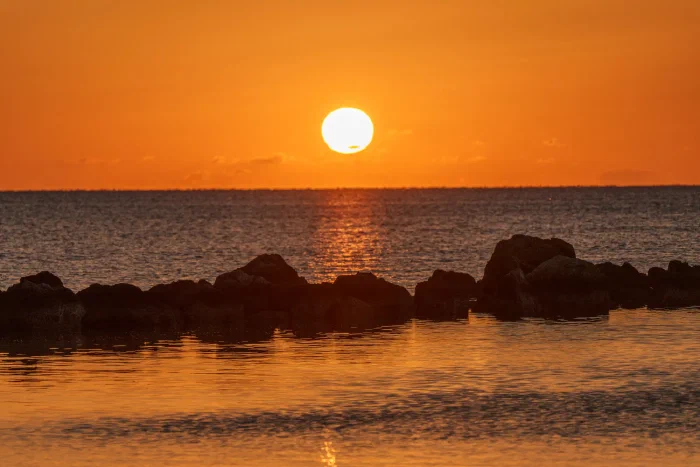 AR501787.webp