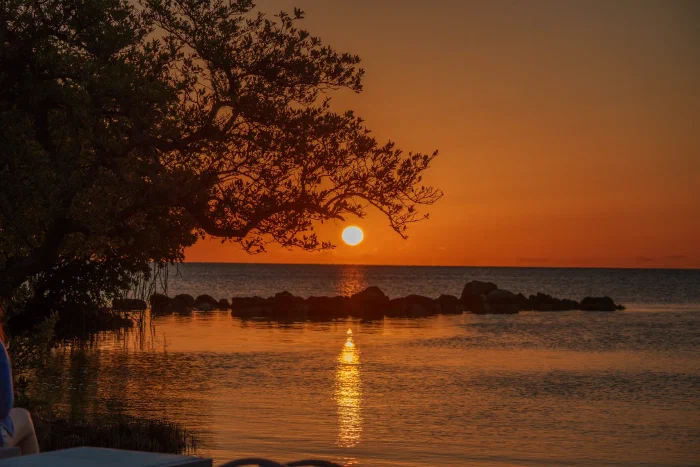 AR501790.webp