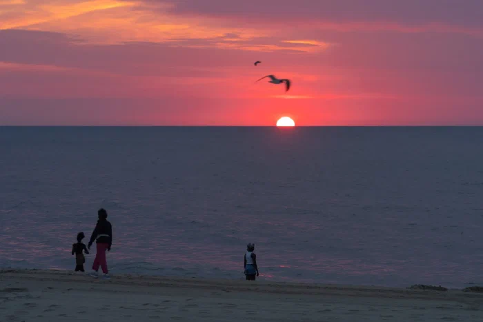AR504126.webp