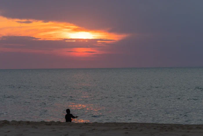 AR504242.webp