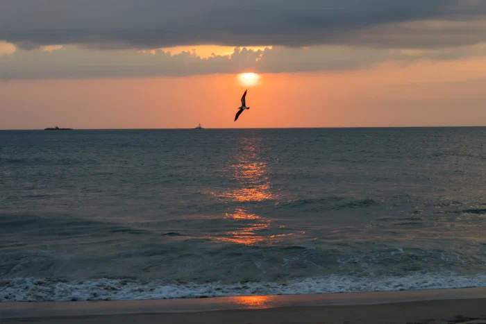 AR507996.webp