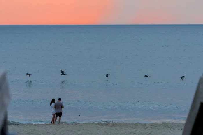 AR508058.webp