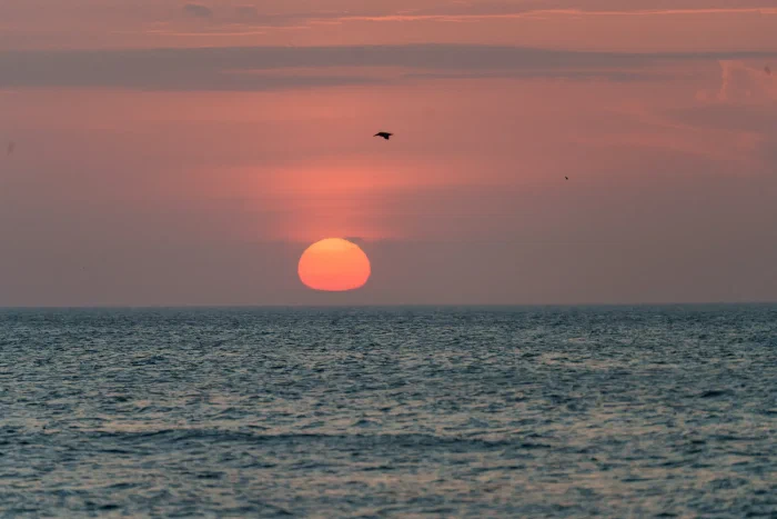 AR508328.webp