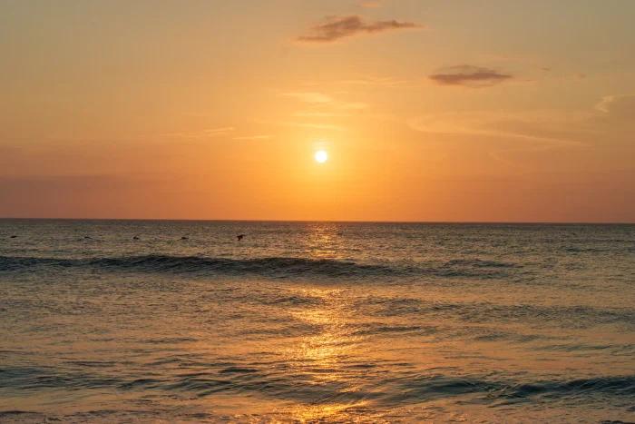 AR508592.webp