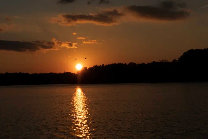DSC08111.webp
